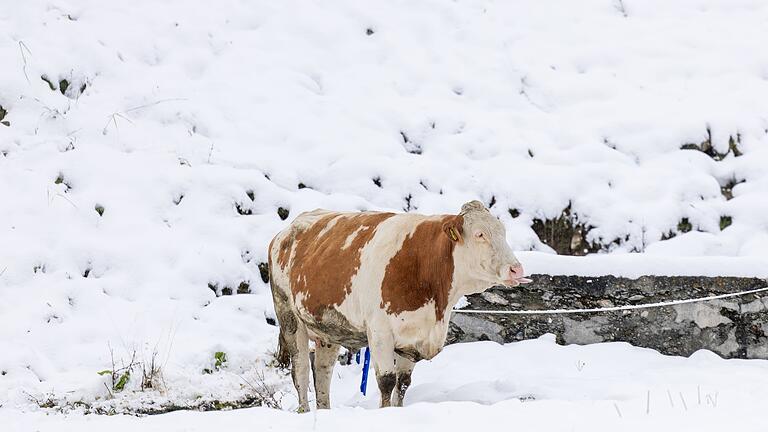 Winterwetter in Österreich       -  Niederschlag als Schnee heißt auch vorübergehend weniger Abflusswasser in den Flüssen&rdquo;.