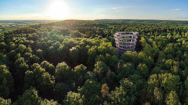 Ist die Zukunft des Baumwipfelpfades im Steigerwald wegen anhaltender Defizite in Gefahr? Bayerns Oberster Rechnungshof hat die Einrichtung und das Steigerwald-Zentrum jedenfalls im Blick.