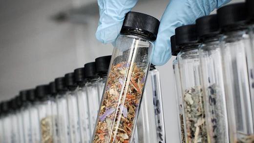 Legal Highs       -  Eine Polizistin im Mainzer Landeskriminalamt hält eine mit Drogen versetzte Kräutermischung in der Hand. Foto: Fredrik von Erichsen/Archiv