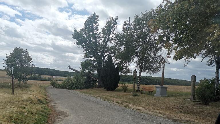 Der Sturm zerrte mehr und mehr am Baum. Zunächst war es ein großer Ast, der abbrach, danach fiel die ganze Linde.