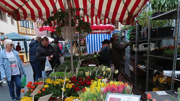 Frühlingspflanzen stehen wieder im Mittelpunkt beim Frühlingsmarkt am Sonntag in Bischofsheim.