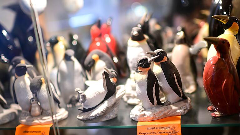 Pinguine im Sonderverkauf - Besonderes Museum schließt - Noch bis Anfang November sind die Pinguine zu sehen. Pinguine im Sonderverkauf - Besonderes Museum schließt - Noch bis Anfang November sind die Pinguine zu sehen.