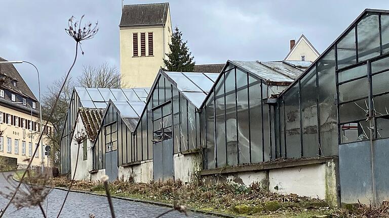 Die alten Gewächshäuser am Bahnhofsweg in Mellrichstadt werden abgerissen. Im Stadtrat wurden Ideen diskutiert, wie die freie Fläche im Anschluss bebaut beziehungsweise gestaltet werden kann.