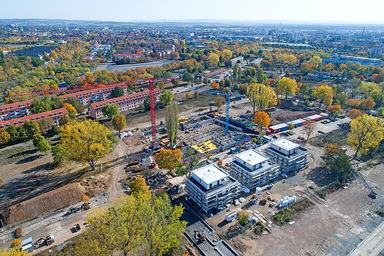 Viel Platz für Bäume gibt es in dem neuen Stadtteil Bellevue.