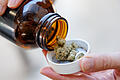 Medizinal-Cannabis-Produktionsstätte.jpeg       -  Zum 1. April trat die Teillegalisierung von Cannabis in Kraft. Seitdem sind Cannabis-Unternehmen an der Börse für viele Anleger interessanter geworden.