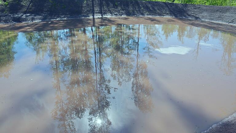 Wasserrückhaltebecken gibt es seit einigen Jahren auch in den Wäldern, wie hier zwischen Ottelmannshausen und Herbstadt. Wasserrückhaltebecken gibt es seit einigen Jahren auch in den Wäldern, wie hier zwischen Ottelmannshausen und Herbstadt.