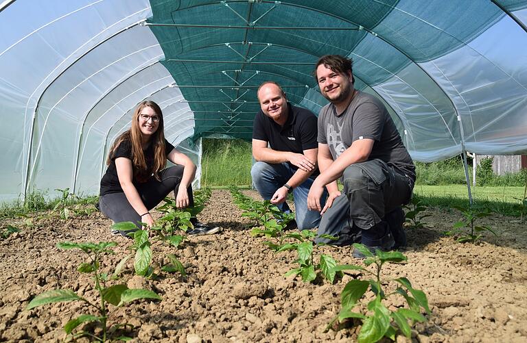 Im neuen, professionellen Gewächshaus haben (von links) Marion Henneberger, Marco Schirmer und Tobias Kettemer ihre 150 Carolina Reaper Chili-Pflanzen gesetzt. Im neuen, professionellen Gewächshaus haben (von links) Marion Henneberger, Marco Schirmer und Tobias Kettemer ihre 150 Carolina Reaper Chili-Pflanzen gesetzt.