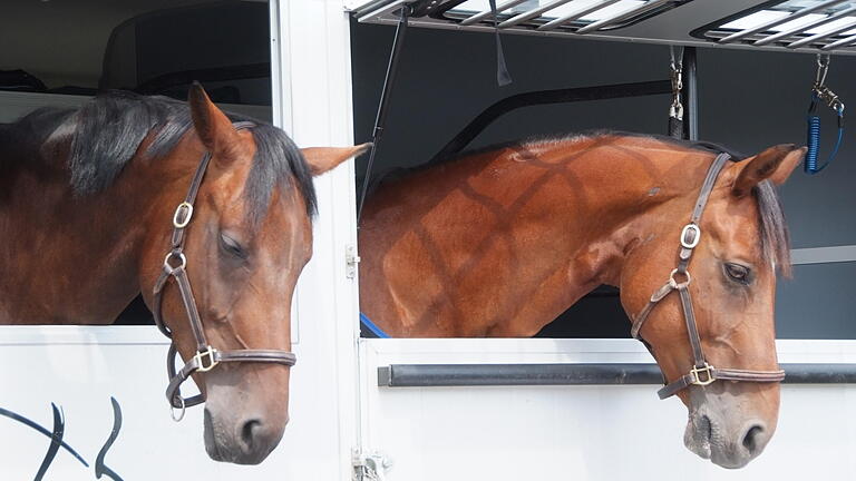Maingau Classics - Reitturnier mit Fränkischer Meisterschaft vom 08.08 bis 13.08.2017 in Grafenrheinfeld