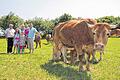 Einblick in die Landwirtschaft. Am Sonntag ist &bdquo;Tag des offenen Hofes&ldquo; auf dem Bauernhof Reck in Hambach. Von links BBV-Kreisobmann Konrad Klein, Isabell Reck, Elena Reck, Susanne Reck, Anna Reck und Michael Reck.