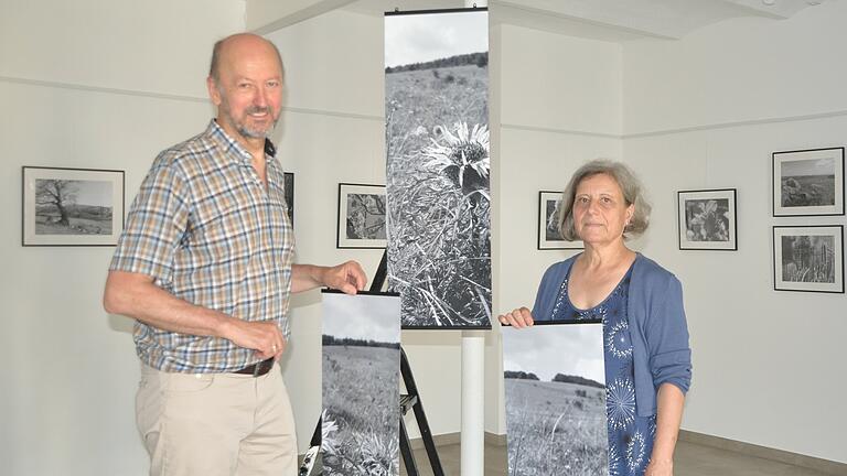 Zum ersten Mal ist das Künstlerehepaar Eva Repp-Poppe und Matthias Poppe mit Werken zu Gast im Kunsthandwerkerhof in Stadtlauringen.