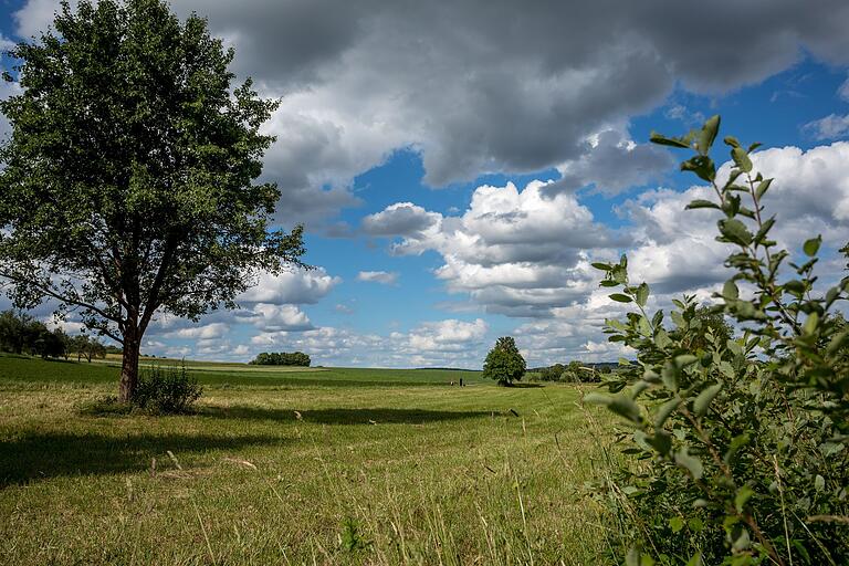 Der Erlebnispfad 'Im G´spring' in Zellingen (Lkr. Main-Spessart) führt mitten durch schöne Natur.