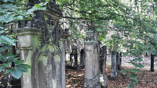 Ruhestätte: Imposante Grabsteine stehen auf dem jüdischen Friedhof bei Neustädtles.