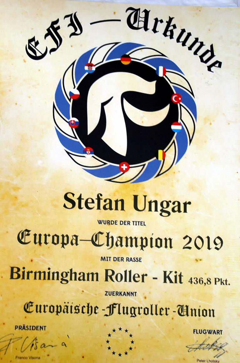 Diese Urkunde (eine solche hat auch Helmut Ungar) weist die Brüder als 'Europa-Champions' des Jahres 2019 aus Diese Urkunde (eine solche hat auch Helmut Ungar) weist die Brüder als 'Europa-Champions' des Jahres 2019 aus
