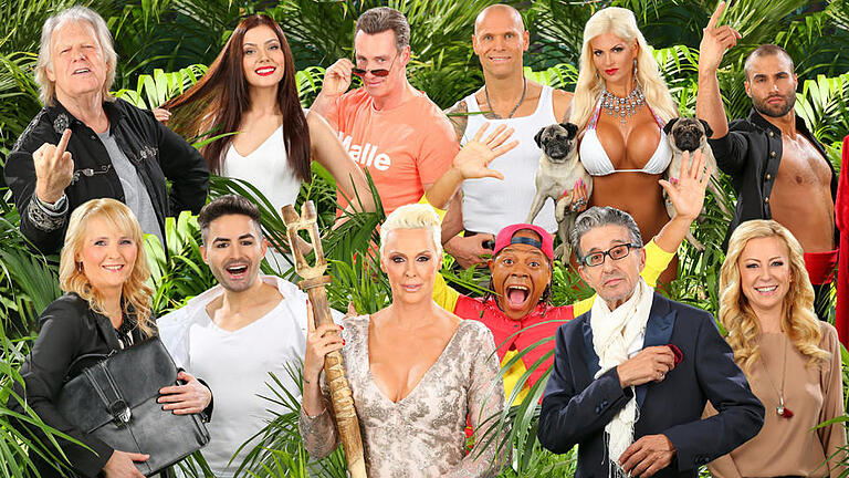 Ich bin ein Star - Holt mich hier raus!       -  oben v.l.: Sänger Gunter Gabriel (73), Topmodel Nathalie Volk (19), Ballermann-Star Jürgen Milski (52), Ex-Fußball-Profi Thorsten Legat (47), It-Girl Sophia Wollersheim (28), Reality-Star David Ortega (30). unten v.l.: TV-Coach Helena Fürst (41), DSDS-Legende Menderes (31), Hollywood-Star Brigitte Nielsen (52), Moderator Ricky Harris (53), Schauspieler Rolf Zacher (74), Schauspielerin Jenny Elvers (43).

Alle Infos zu 'Ich bin ein Star - Holt mich hier raus!' im Special bei RTL.de: www.rtl.de/cms/sendungen/ich-bin-ein-star.html
