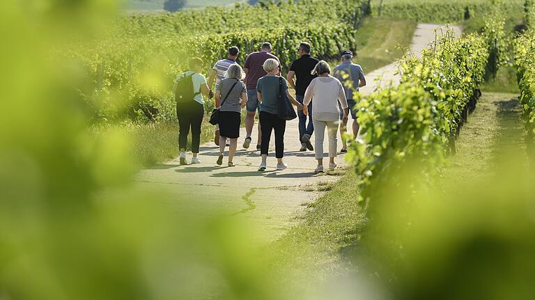 Die Menschen haben Bewegung an der frischen Luft für sich entdeckt. Hier im Juni an der Mainschleife. Die Menschen haben Bewegung an der frischen Luft für sich entdeckt. Hier im Juni an der Mainschleife.
