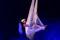 Der 'Circus Alaska' ist zum ersten Mal in Würzburg.