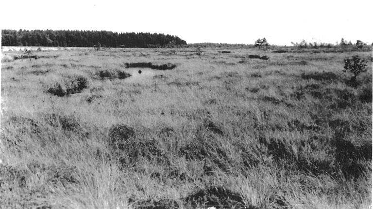 Dieses vom Landratsamt Rhön-Grabfeld zur Verfügung gestellte Bild zeigt das Moor im Jahr 1933.