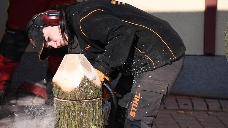 Hier ist höchste Präzision gefragt: Arbeit mit der Kettensäge.