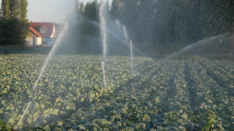 Mit eigenen Brunnen bewässern Etwashäuser Gärtner ihre Freilandflächen  wie hier am Lerchenbühl in Etwashausen.