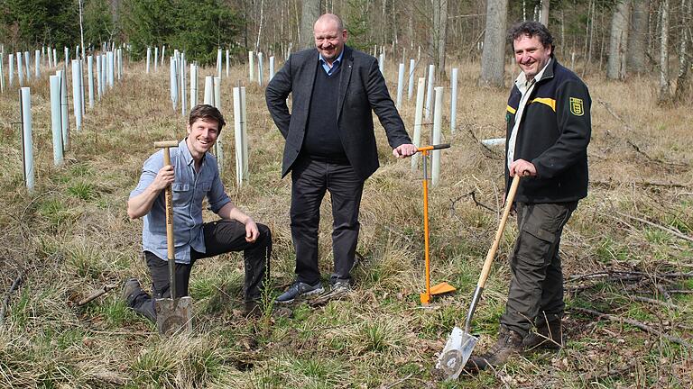 Ein Beispiel für Spendenaktivitäten: Vorstandsmitglied Dirk Schlenker (Mitte) bei der Pflanzung von 3000 Setzlingen im Creglinger Stadtwald im Frühjahr 2024. Ein Beispiel für Spendenaktivitäten: Vorstandsmitglied Dirk Schlenker (Mitte) bei der Pflanzung von 3000 Setzlingen im Creglinger Stadtwald im Frühjahr 2024.
