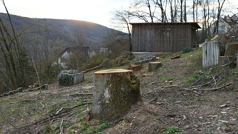 Von den zahlreichen alten Bäumen stehen auf dem Spielplatz jetzt nur noch die Stümpfe. Von den zahlreichen alten Bäumen stehen auf dem Spielplatz jetzt nur noch die Stümpfe.