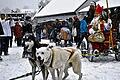 Winterliche Atmosphäre: Beim Weihnachtsmarkt am Sonntag in Maroldsweisach kam der Heilige Nikolaus auf dem Hundeschlitten.