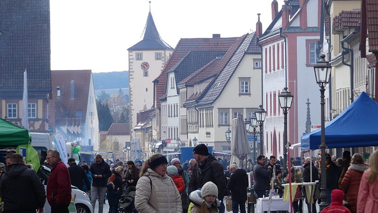 Viele Besucher kamen zur Haßfurter Zukunftsmesse.