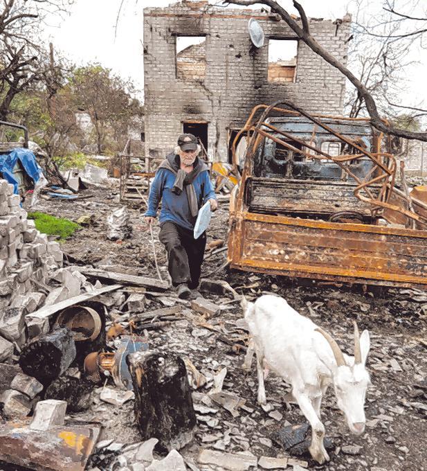 Volodymyrs Haus ist eine Ruine. Der Mann konnte nur seine Ziegen retten. Volodymyrs Haus ist eine Ruine. Der Mann konnte nur seine Ziegen retten.