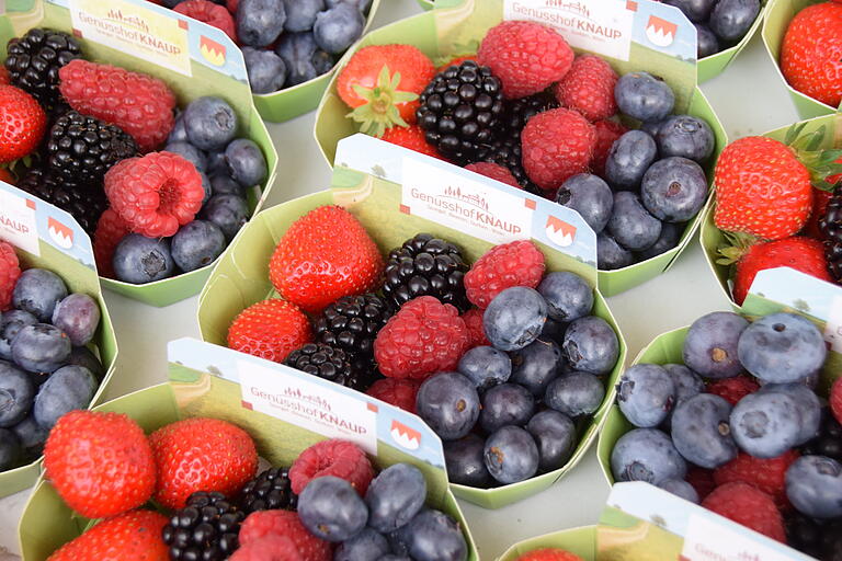 Erdbeeren, Himbeeren, Brombeeren und Heidelbeeren wachsen am Genusshof Knaup im Folientunnel oder Gewächshaus.