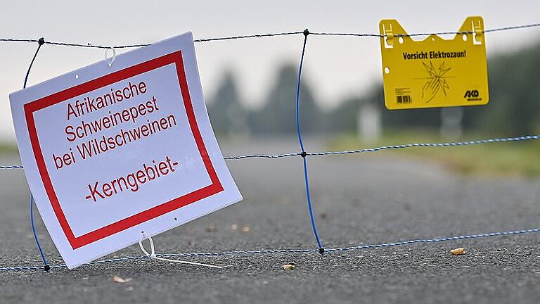 Schweinepest breitet sich aus - Mobiler Zaun im Oderbruch       -  Ein mobiler Elektrozaun ist über eine Straße im Oderbruch gespannt. Er soll Wildschweine vom Weiterziehen abhalten. Noch gibt es in Bayern keine Meldung von Wildschweinen mit Afrikanischer Schweinepest. Eine Frage der Zeit?