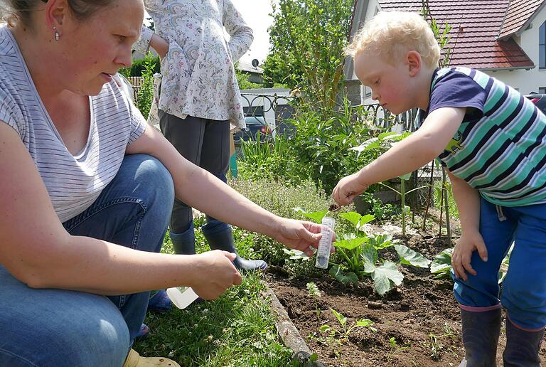 Mit dem Löffel befördert Anton Erde in ein Reagenzglas, damit die Mutter und die große Schwester anschließend den pH-Wert bestimmen können. Mit dem Löffel befördert Anton Erde in ein Reagenzglas, damit die Mutter und die große Schwester anschließend den pH-Wert bestimmen können.