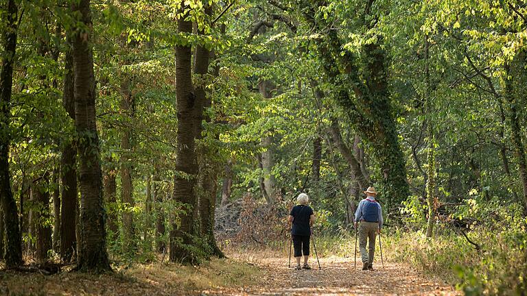 Wird die Sicherung der Waldwege teurer, wenn wegen des Biosphärenreservats mehr Urlauber in den Wäldern unterwegs wären? Diese Frage warf die Marktheidenfelder Forstverwaltung auf.