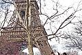 Gruppenfoto am Eiffelturm in Paris.       -  Gruppenfoto am Eiffelturm in Paris.