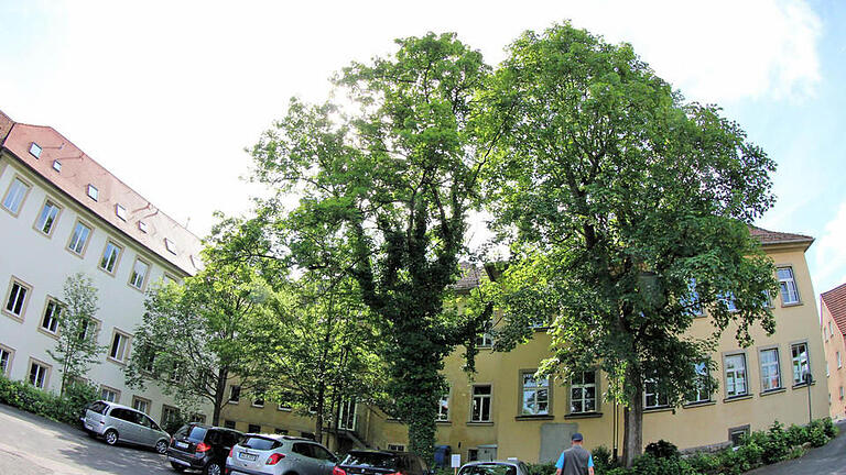 Ein gläserner Außenaufzug soll an der Rückseite der Alten Aula und der städtischen Räume am Stenayer Platz errichtet werden. Der Aufzug soll vor dem Teil des Gebäudekomplexes, der der Stadt gehört, gebaut werden und das Erdgeschoss und das Obergeschoss erschließen.  Foto: Dieter Britz       -  Ein gläserner Außenaufzug soll an der Rückseite der Alten Aula und der städtischen Räume am Stenayer Platz errichtet werden. Der Aufzug soll vor dem Teil des Gebäudekomplexes, der der Stadt gehört, gebaut werden und das Erdgeschoss und das Obergeschoss erschließen.  Foto: Dieter Britz