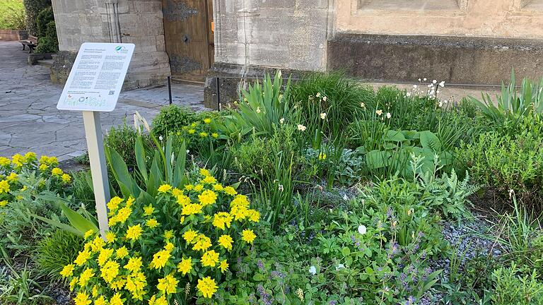 Das Pilotprojekt an der Stadtpfarrkirche hat sich gut entwickelt. - Das Pilotprojekt an der Stadtpfarrkirche hat sich gut entwickelt. Das Pilotprojekt an der Stadtpfarrkirche hat sich gut entwickelt. - Das Pilotprojekt an der Stadtpfarrkirche hat sich gut entwickelt.