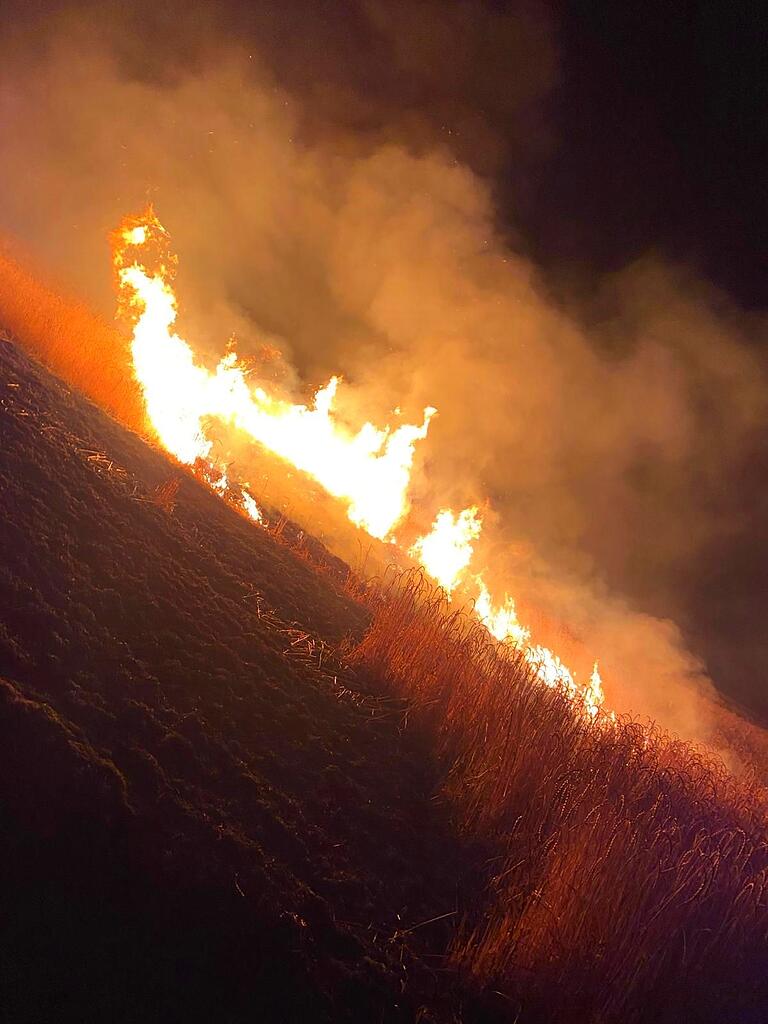 Ein Acker steht an der Staatsstraße nahe Krum in Flammen.