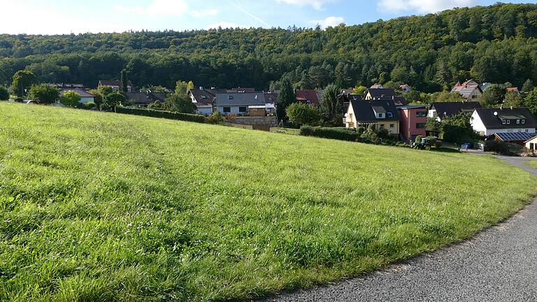 Durch eine artenschutzrechtliche Beurteilung wird die Erschließung des Baugebietes Schleifrain in Windheim wohl länger dauern