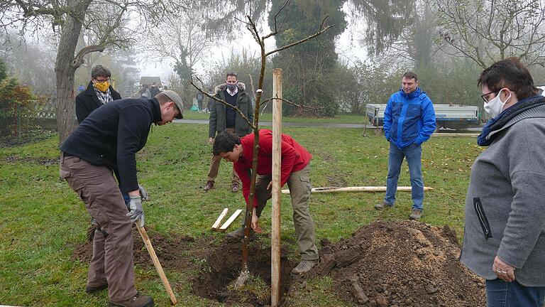 Im Rahmen des Projekts 'Essbares Mellrichstadt' des Vereins 'Eine neue Erde e.V.' wurden in den Heiligengärten von Mellrichstadt fünf Obstbäume und verschiedene Sträucher gepflanzt. Im Bild (vordere Reihe von links): Bauhofleiter Maximilian Finster, Erik Seifert vom Lebensgut Cobstädt und AM-Geschäftsführerin Brigitte Pross; hintere Reihe von links: Ulrich Kluge, Rektor Realschule Mellrichstadt, Peter Suckfüll als Vertreter der VR-Bank und Stefan Lochner, Konrektor Realschule Mellrichstadt.