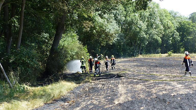 Glutnester am Waldrand wurden mit Feuerpatschen und Wasser bekämpft.