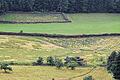 Wallanlage: Mehrere Kilometer durchziehen Totholzwälle (Benjeshecken) die Deutelbacher Landschaft.