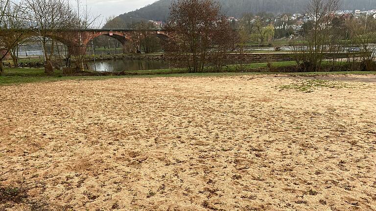 Auf dem Gelände des Lohrer Stadtstrandes wird es auch heuer keinen Betrieb geben. Der Pächter, mit dem die Stadt einen Vertrag über fünf Jahre abgeschlossen hatte, hat einen Rückzieher gemacht – zumindest für dieses Jahr.