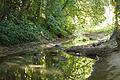 Die Pleichach im Stadtteil Lindleinsmühle am 10. August. Der Bach führt deutlich weniger Wasser als in anderen Sommern.