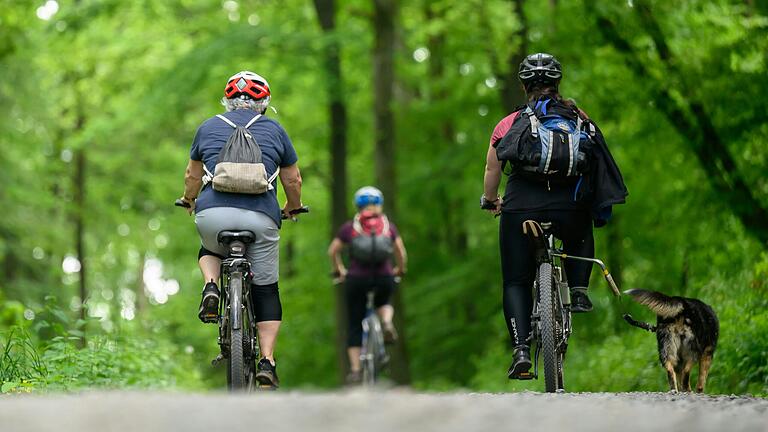 Abenteuer Rennweg: Auf einer 30-Kilometer-Tour mit Start und Ziel Ellertshäuser See geht's oberhalb von Nassach durch den Wald.&nbsp;