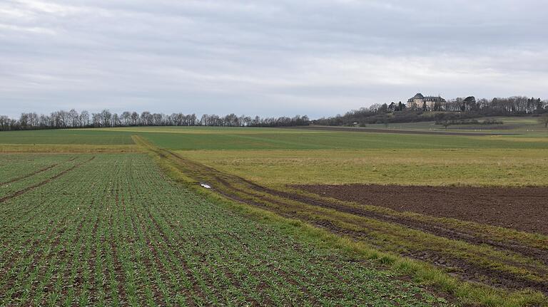 Die Kulturlandschaft zeigt sich hier vor der Kulisse von Schloss Craheim in diesem Januar bisher wenig winterlich. Im Sinne der Artenvielfalt bleiben an Gräben so genannte Grünlandstreifen unbebaut. Auch das ist eine Leistung der Landwirte, die dann weniger Anbaufläche haben, sozusagen ihr Ackerland an die Natur zurückgeben. Entschädigt werden sie dafür nicht.