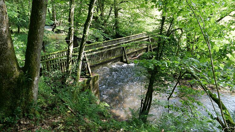 Für Georg Magirius ein inspirierender Ort: das Schondratal bei Gräfendorf.