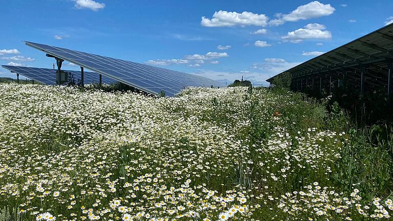 Mehr Photovoltaik-Freiflächen werden im Landkreis Kitzingen in Zukunft entstehen, um die Energiewende zu schaffen. Auch die Stadt Kitzingen will das auf ihren Grundstücken zulassen.