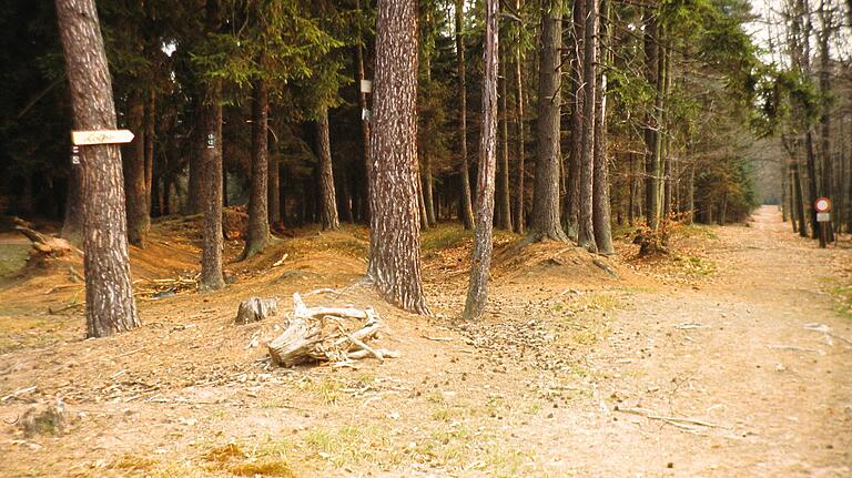 Hohlwege bei der Kreuzkapelle bei Frammersbach. Die Straßen, die die Glasmacher damals nutzten, sind noch heute im Gelände sichtbar.