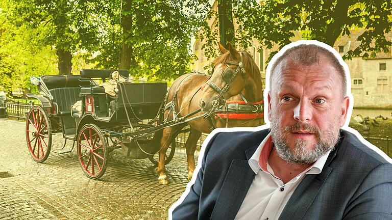 Nach einem schweren Unfall mit einer Kutsche im Landkreis Würzburg hat die Tierschutzorganisation Peta Landrat Thomas Eberth aufgefordert, die Gefährte zu verbieten (Symbolfoto). Nach einem schweren Unfall mit einer Kutsche im Landkreis Würzburg hat die Tierschutzorganisation Peta Landrat Thomas Eberth aufgefordert, die Gefährte zu verbieten (Symbolfoto).