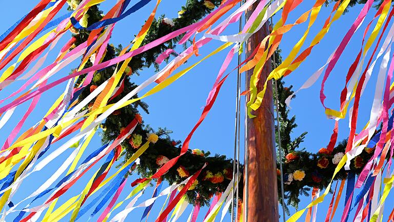 Bunt geschmückter Maibaum - ein begehrtes Objekt von Räubern, die im Schutz der Dunkelheit in der Nacht vom 30. auf den 1. Mai in Nachbarorten unterwegs sind, um ihn zu klauen und auf Auslöse hoffen. Bunt geschmückter Maibaum - ein begehrtes Objekt von Räubern, die im Schutz der Dunkelheit in der Nacht vom 30. auf den 1. Mai in Nachbarorten unterwegs sind, um ihn zu klauen und auf Auslöse hoffen. 