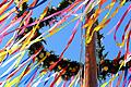 Bunt geschmückter Maibaum - ein begehrtes Objekt von Räubern, die im Schutz der Dunkelheit in der Nacht vom 30. auf den 1. Mai in Nachbarorten unterwegs sind, um ihn zu klauen und auf Auslöse hoffen.&nbsp;